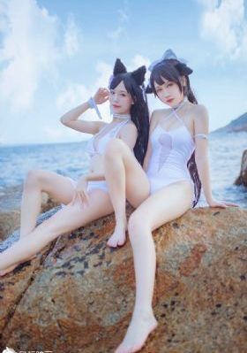 会议会务系统介绍_HD免费观看超清